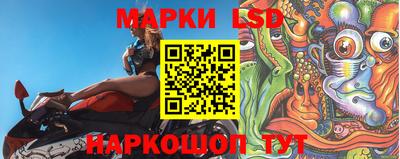 тгк Новодвинск