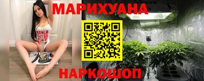 тгк Новодвинск