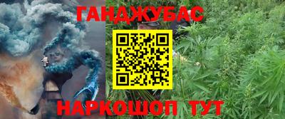 тгк Новодвинск