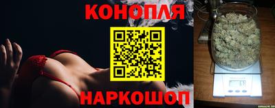 наркотики Новозыбков