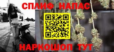 тгк Новодвинск