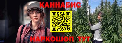 тгк Новодвинск